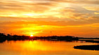 Summer wallpapers35